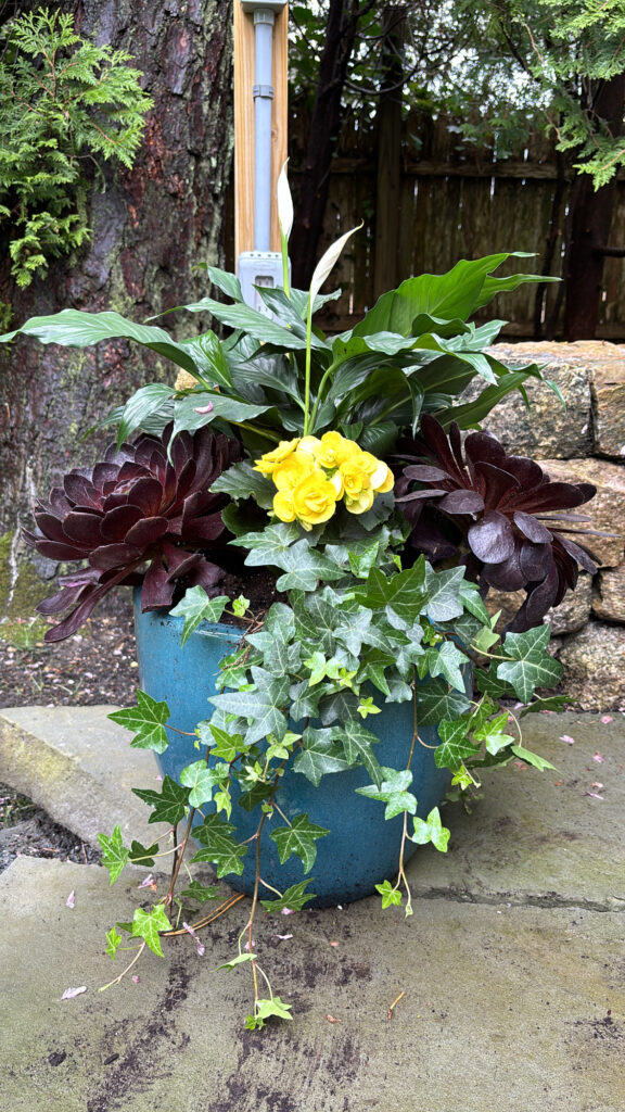 Ffc61b8d 8033 4e87 bb6f fad98ccece81